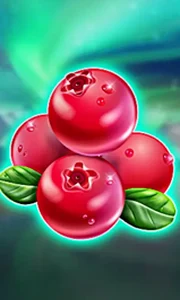 Winterberries